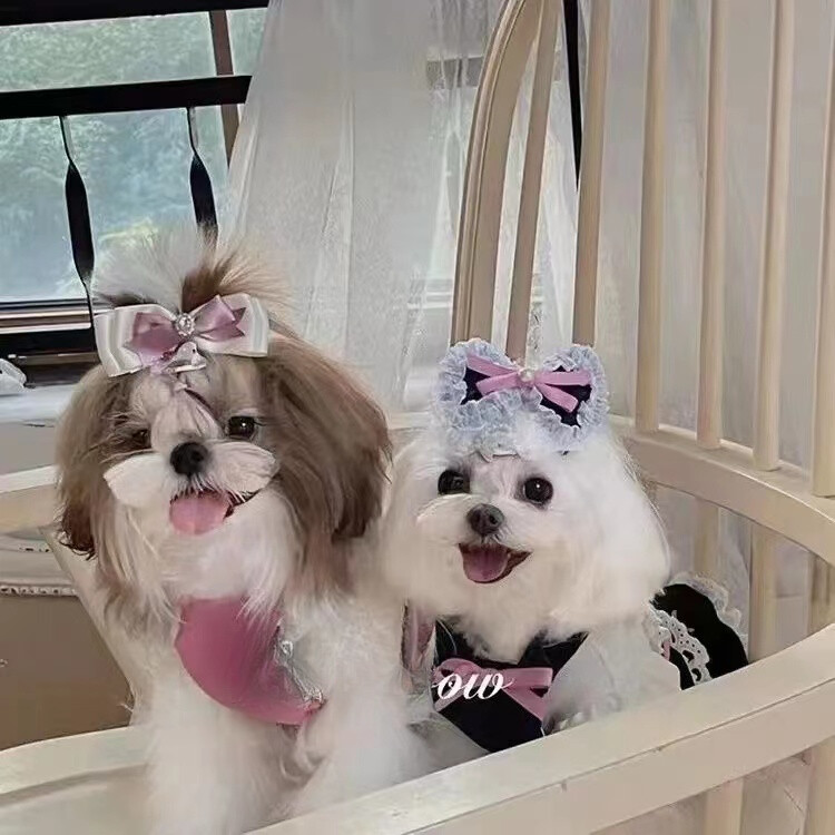 Psi Haljine za male pse Odjeća za mačke Traper suknje za kućne ljubimce Proljetni i jesenski modeli Princess Barbie stil Slatki