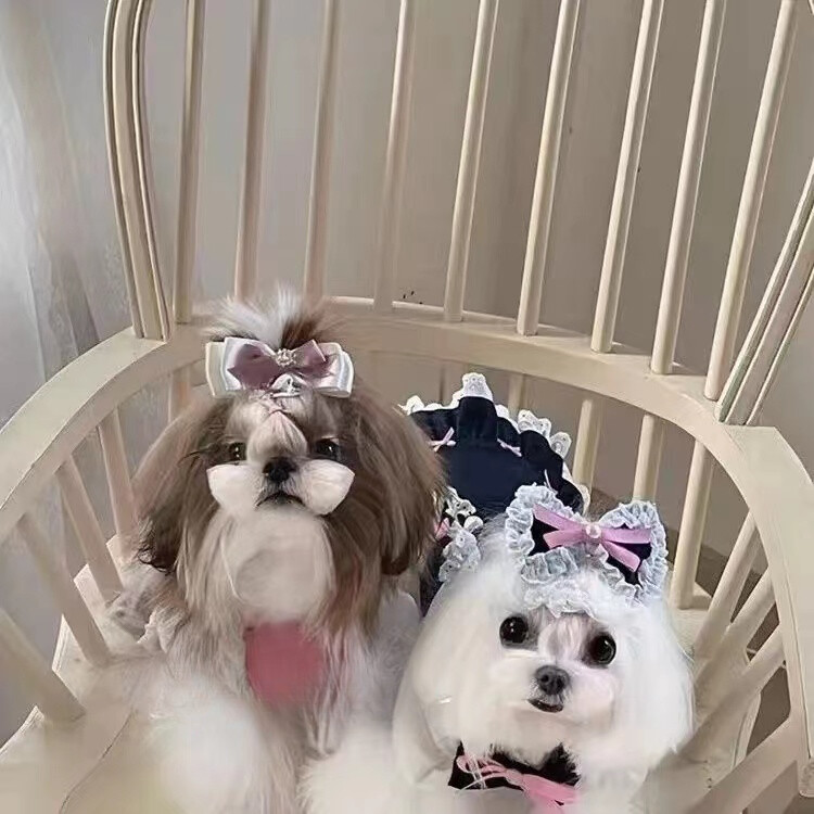 Psi Haljine za male pse Odjeća za mačke Traper suknje za kućne ljubimce Proljetni i jesenski modeli Princess Barbie stil Slatki