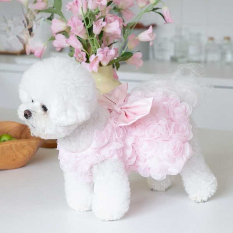 Proljeće/ljeto 3D ružičasta haljina Slatka mašna Odjeća za kućne ljubimce Odjeća za mačke i pse Dodaci za kućne ljubimce Teddy odjeća Haljine za male pse