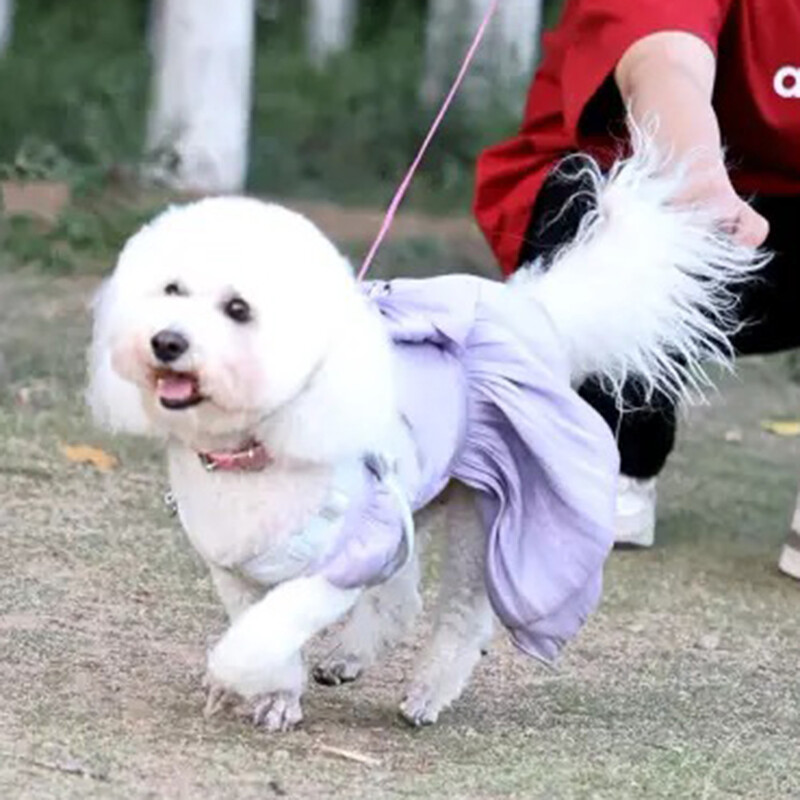 Пролетно лято Кучешка рокля на принцеса Голяма пола за домашни любимци с панделка за малки кучета Котки Шнауцер Облекло за кученца Shih Tzu