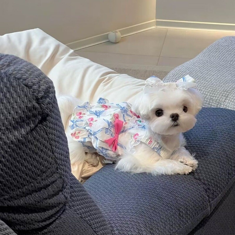 Odjeća za pse Plava cvjetna naramenica Kratka suknja princeze Ljetna ženska mašna Bundeva Sling suknja Dva stopala Teddy srednje haljine za štene