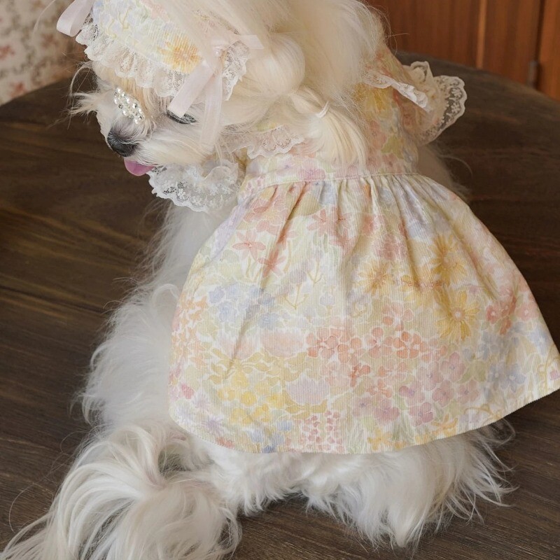 Ljetno cvijeće Odjeća za pse s cvjetnim čipkama Naramenice Kratka haljina princeze Suknja za štene Medo Kućna odjeća za pse Haljine za pse