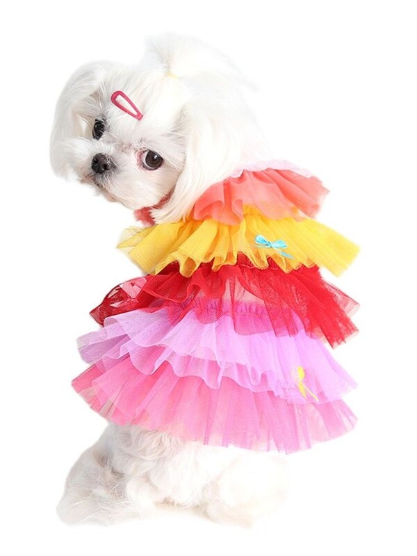 Nova haljina za pse i mačke, suknja s gradijentnim mrežastim dizajnom, kućni ljubimac, štene, odjeća za proljeće/ljeto