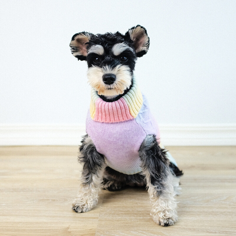 Koera kampsun väikestele koertele Rainbow värviline kootud kutsika kampsun Lemmiklooma koera talveriided soe kampsun Yorkies Chihuahua