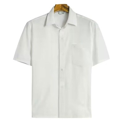 2024. aasta meeste suvemood jahutavad jääsiidist särgid, meeste lühikeste varrukatega hingavad pluusid, meeste uued soliidsed vabaaja sotsiaalsed särgid I72