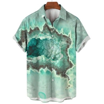 Ljetna košulja za muškarce 3d šarene uljane slike otisnute košuljama kratkih rukava Havajske majice muške odjeće Ležerne prevelike košulje