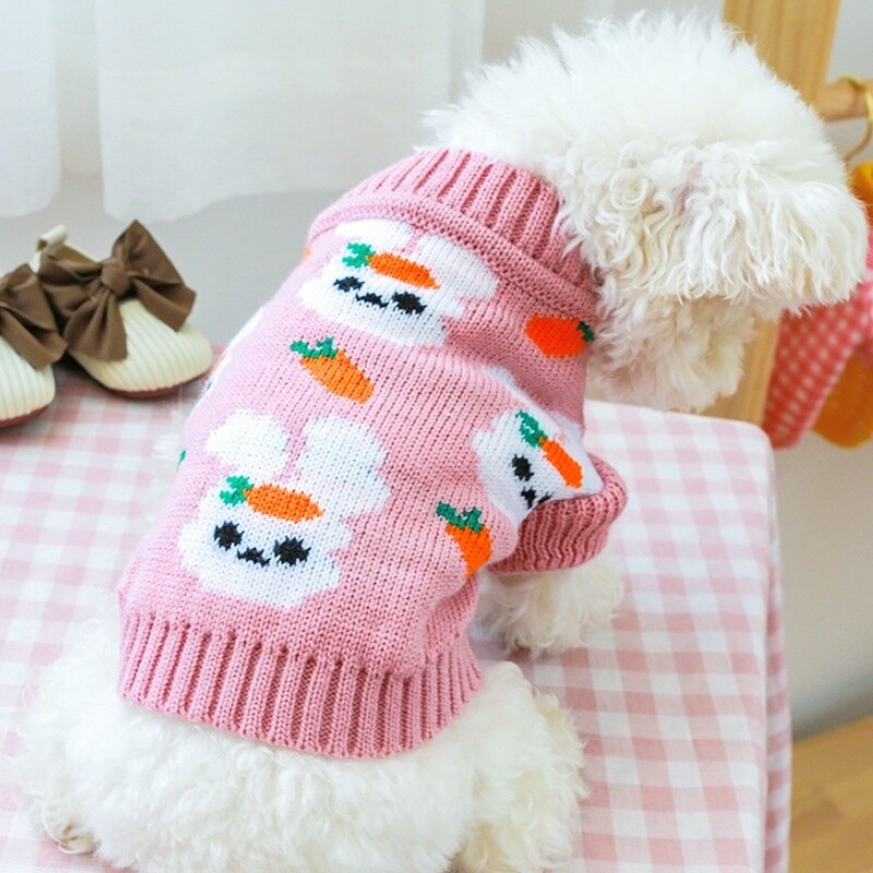 Zimska topla odjeća za pse Luksuzni džemper za pse Kaput sa slatkim printom Odjeća za štene Mekani džemper za mačke Kostimi za kućne ljubimce Kaput za Yorkieja Teddy jakna
