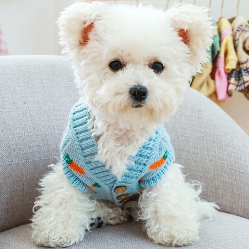 Zimska topla odjeća za pse Luksuzni džemper za pse Kaput sa slatkim printom Odjeća za štene Mekani džemper za mačke Kostimi za kućne ljubimce Kaput za Yorkieja Teddy jakna