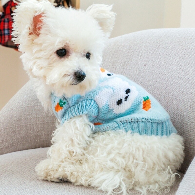 Zimska topla odjeća za pse Luksuzni džemper za pse Kaput sa slatkim printom Odjeća za štene Mekani džemper za mačke Kostimi za kućne ljubimce Kaput za Yorkieja Teddy jakna
