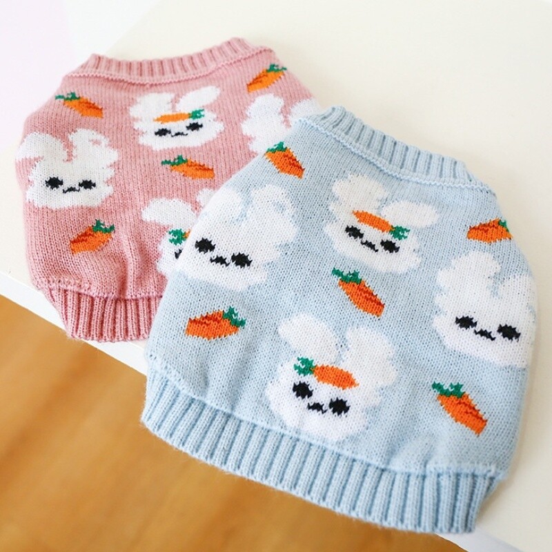 Zimska topla odjeća za pse Luksuzni džemper za pse Kaput sa slatkim printom Odjeća za štene Mekani džemper za mačke Kostimi za kućne ljubimce Kaput za Yorkieja Teddy jakna