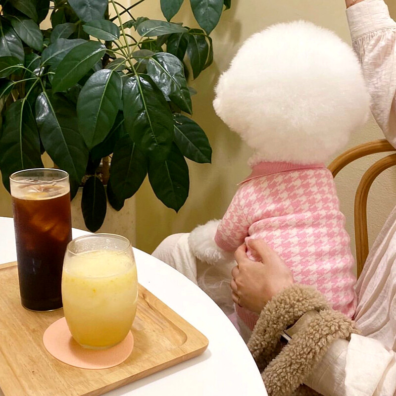 Lemmiklooma sügis- ja talveriided Teddy kootud kampsun puudli lillede riided polosärk Kutsika soojad kahe jalaga riided