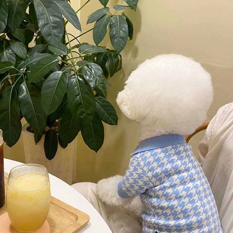 Lemmiklooma sügis- ja talveriided Teddy kootud kampsun puudli lillede riided polosärk Kutsika soojad kahe jalaga riided