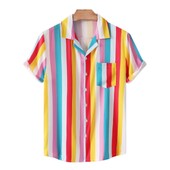 Ljeto Muškarci Ležerne košulje na pruge Havajska odjeća za plažu Ulična moda 3d ispis Kratkih rukava Blagdanska uvezena odjeća Cvjetni