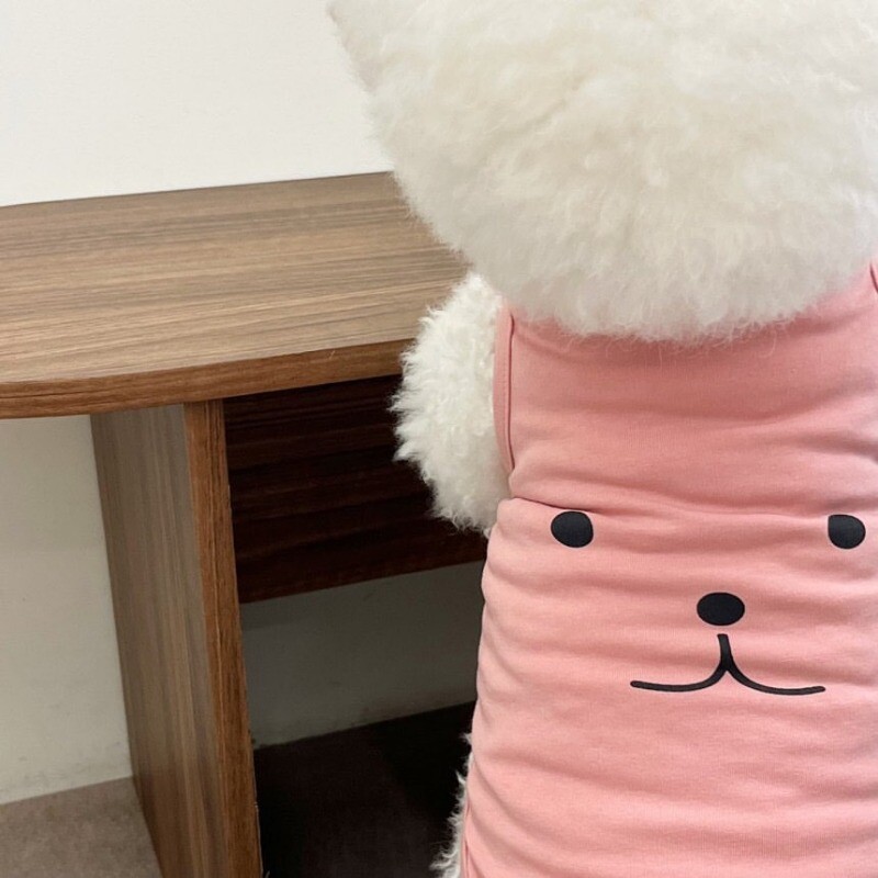 Õhuke T-särk koertele kasside kutsikate suvevest Teddy Pomeranian väike, keskmine hingav koerte riietus, lemmikloomade kostüüm