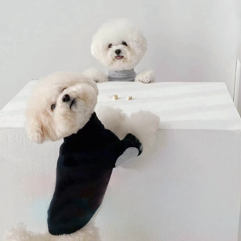 Zima Nova donja majica za kućne ljubimce Teddy Topla odjeća za dvije noge Bichon jednobojni pulover Klasični dizajn Odjeća za pse