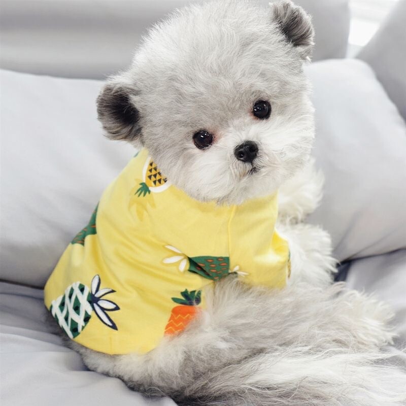 Odjeća za kućne ljubimce sa slatkim printom voća Ljetni pamučni prsluk za pse za male pse Chihuahua Pomeranian Puppy T-shirt Odjevna oprema ropa perro