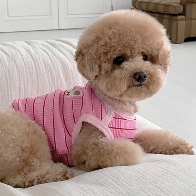 Cămașă pentru câini cu dungi de vară Vestă de modă pentru câini pentru câini de talie mică, respirabil, pentru cățeluș, haine cu două picioare, vestă drăguță pentru pisici, haine pentru câini de companie