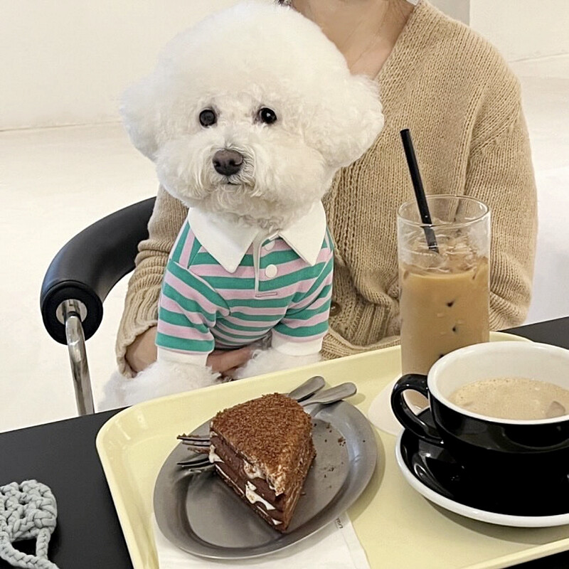 Zeleni prugasti prsluk za štene Ljetna majica za kućne ljubimce Mačka Pomeranac Mekani pulover Teddy Odjeća na rever Potrepštine za kućne ljubimce