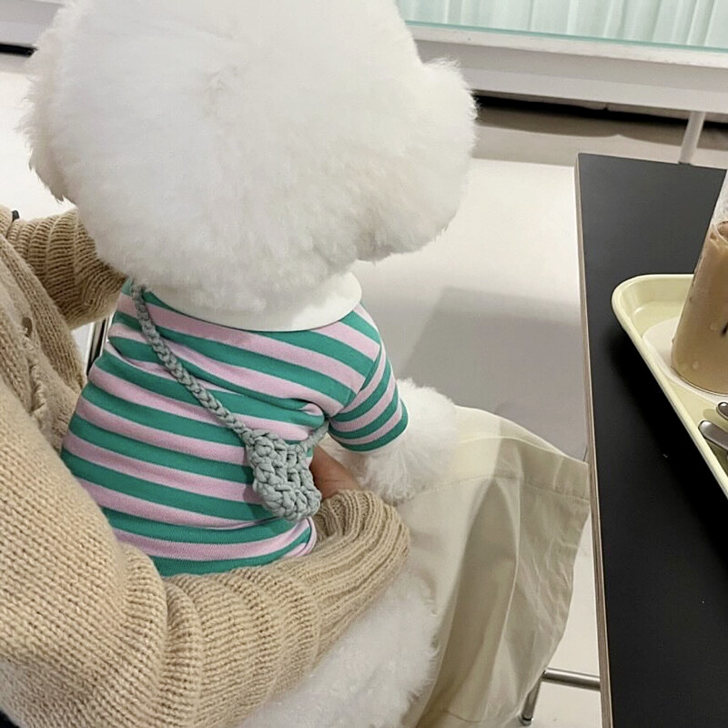 Zeleni prugasti prsluk za štene Ljetna majica za kućne ljubimce Mačka Pomeranac Mekani pulover Teddy Odjeća na rever Potrepštine za kućne ljubimce