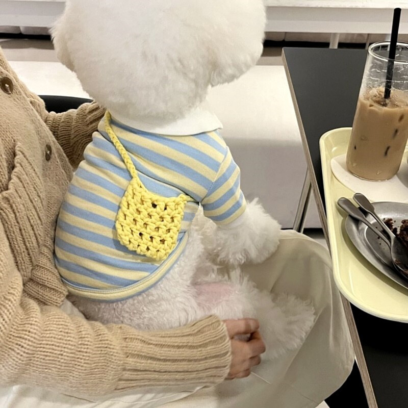 Zeleni prugasti prsluk za štene Ljetna majica za kućne ljubimce Mačka Pomeranac Mekani pulover Teddy Odjeća na rever Potrepštine za kućne ljubimce