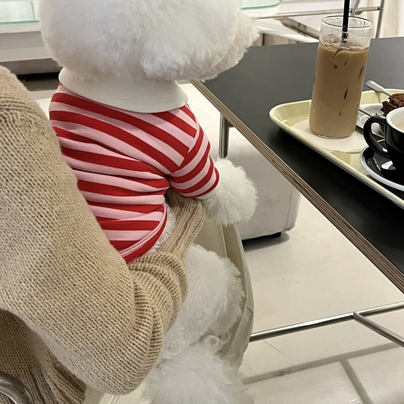 Zeleni prugasti prsluk za štene Ljetna majica za kućne ljubimce Mačka Pomeranac Mekani pulover Teddy Odjeća na rever Potrepštine za kućne ljubimce