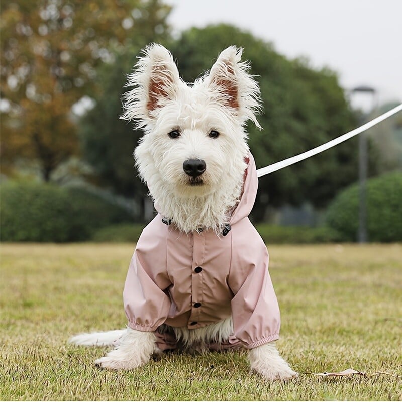 Kabanica za pse, reflektirajuća vodootporna odjeća za kućne ljubimce za čivavu, maltezer, kišna kabanica, kombinezon za male srednje pse, kabanica, kombinezon za pse