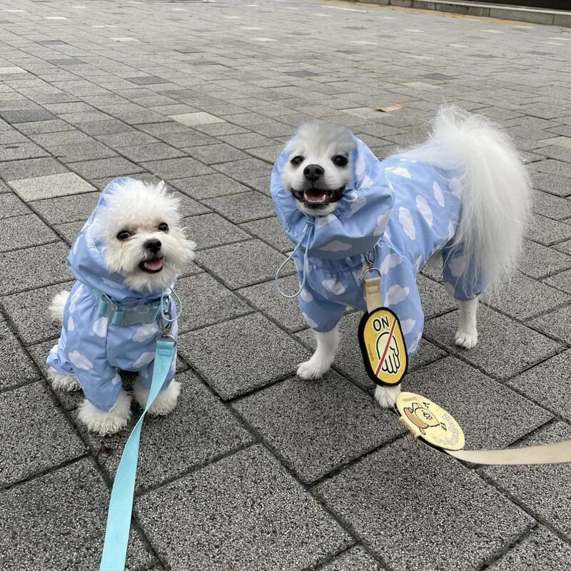 Cute Clouds Love Dog Raincoat Tpu Thickened Waterproof All-Inclusive Rain Poncho Pet Pet Pet Puppy με κουκούλα τετράποδα παλτό για σκύλους