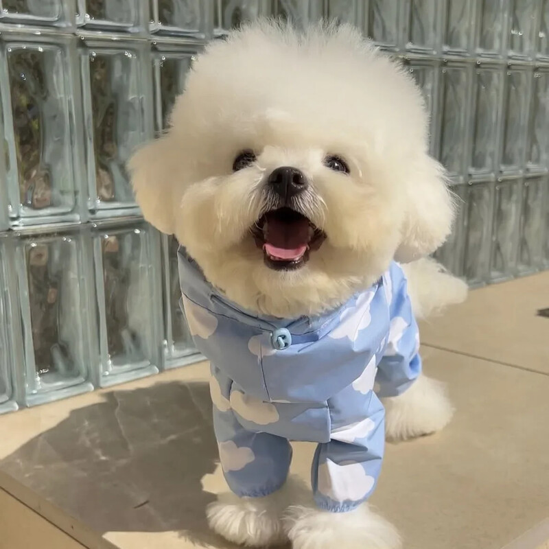 Cute Clouds Love Dog Raincoat Tpu Thickened Waterproof All-Inclusive Rain Poncho Pet Pet Pet Puppy με κουκούλα τετράποδα παλτό για σκύλους