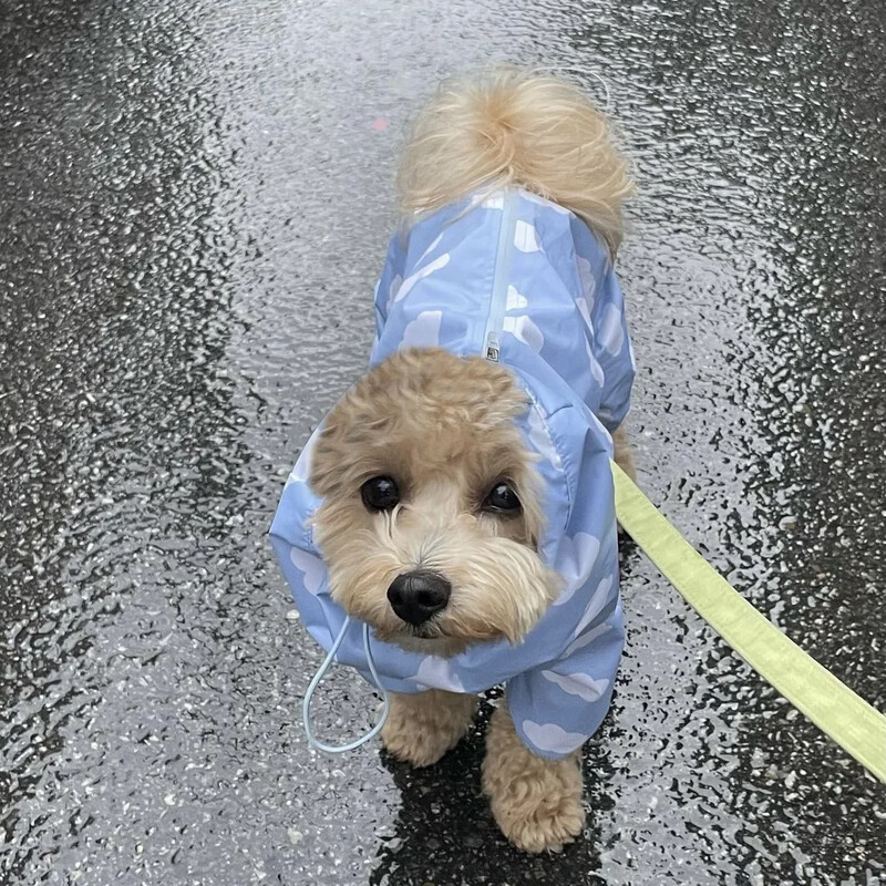 Cute Clouds Love Dog Raincoat Tpu Thickened Waterproof All-Inclusive Rain Poncho Pet Pet Pet Puppy με κουκούλα τετράποδα παλτό για σκύλους