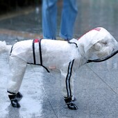 Kabanica za pse Reflektirajuća vodootporna odjeća za kućne ljubimce za Chihuahua Teddy Kabanica za male srednje pse Kombinezon Kabanica za pse Kombinezoni