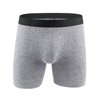 Duge bokserice Muške bokserice Donje rublje prozračno Muško muško donje rublje Boksačice Homme Boxershorts Gaćice Man for Soft