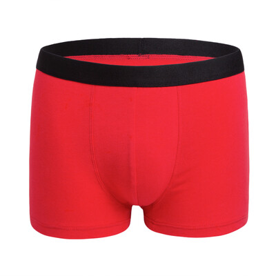 Duge bokserice Muške bokserice Donje rublje prozračno Muško muško donje rublje Boksačice Homme Boxershorts Gaćice Man for Soft