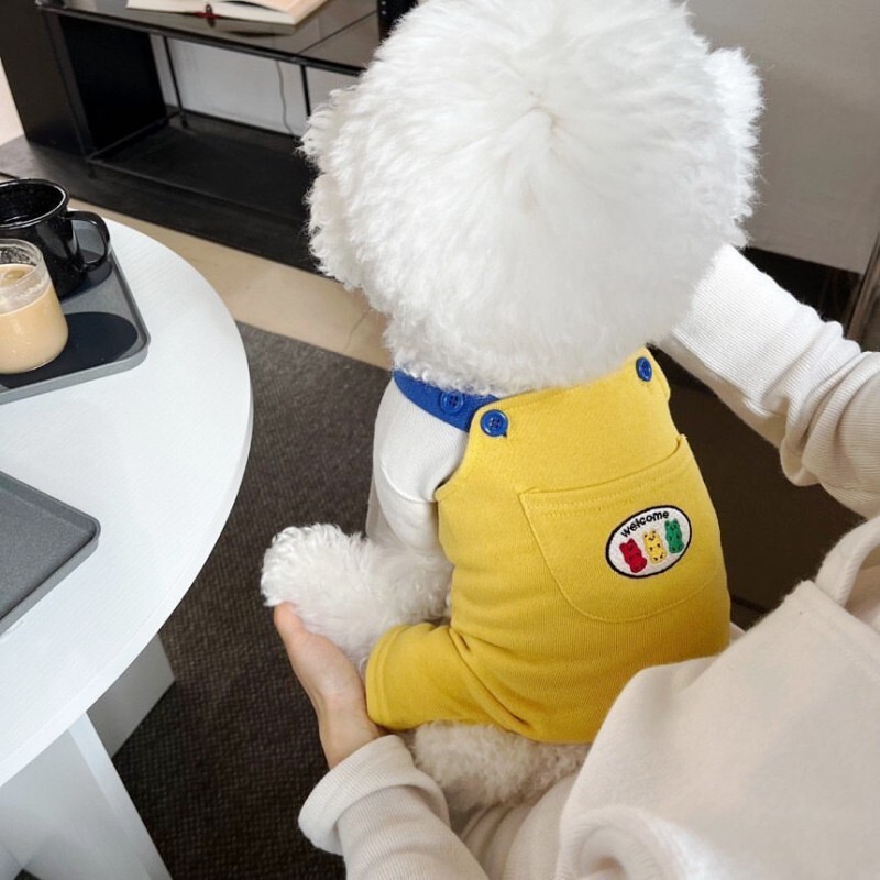 Ljetni kombinezon za pse za kućne ljubimce Odjeća za štene 2024. Ležerne kombinezone za kućne ljubimce Hlače za pse u boji Block Bichon Pug Chihuahua Tregeri Kaput za pse