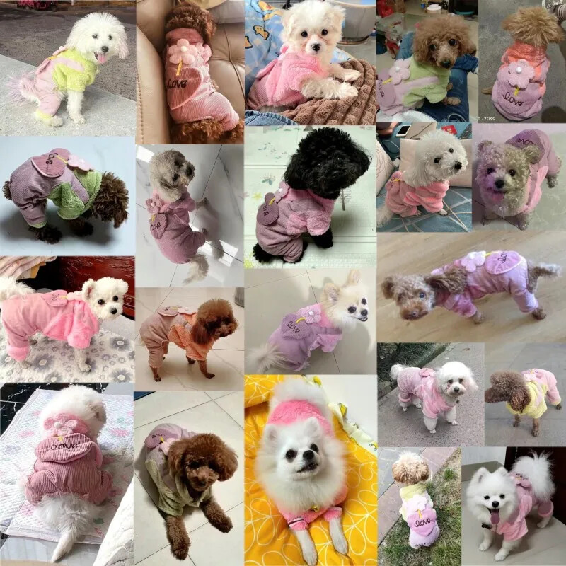 Odjeća za pse za kućne ljubimce Jesen Zima Topli kaput za pse za male pse Puppy Jacket Outfit Slatki cvijet Love Hlače Pseći kombinezon Chihuahua