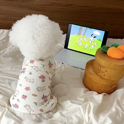 Teddy τετράποδο κοστούμι Summer Bichon Pomeranian Jumpsuit Yorkshire Cartoon Πουλόβερ Μάλτας Ρούχα σπιτιού Προμήθειες για κατοικίδια