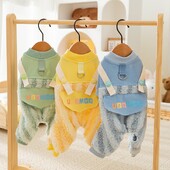 Talvised koerariided Kuu fliis Lemmikloomakandja püksid Vikerkaare triibuline nelja jalaga riided Väikese koera soojad riided