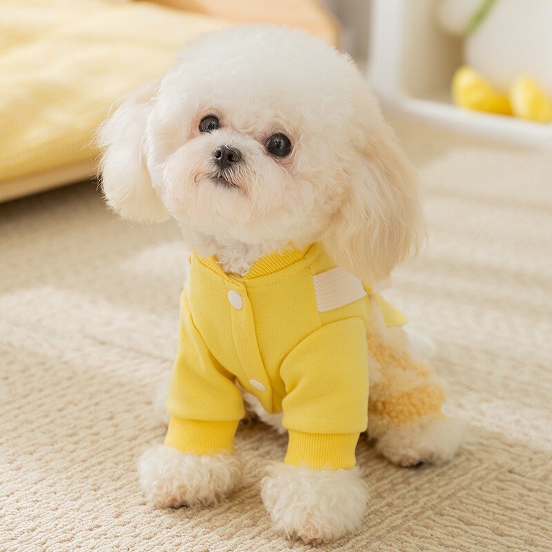 Talvised koerariided Kuu fliis Lemmikloomakandja püksid Vikerkaare triibuline nelja jalaga riided Väikese koera soojad riided