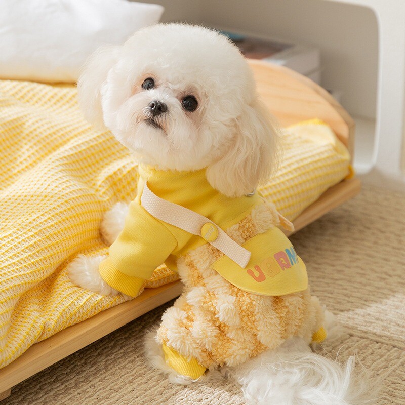 Talvised koerariided Kuu fliis Lemmikloomakandja püksid Vikerkaare triibuline nelja jalaga riided Väikese koera soojad riided