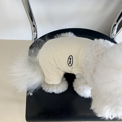 Lahedad väikeste koerte riided Lemmikloomade neljajalgsed püksid Teddy Yorkshire`i Bodysuit Bichon Frise Pomeranian suveriided