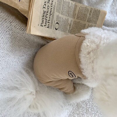 Lahedad väikeste koerte riided Lemmikloomade neljajalgsed püksid Teddy Yorkshire`i Bodysuit Bichon Frise Pomeranian suveriided