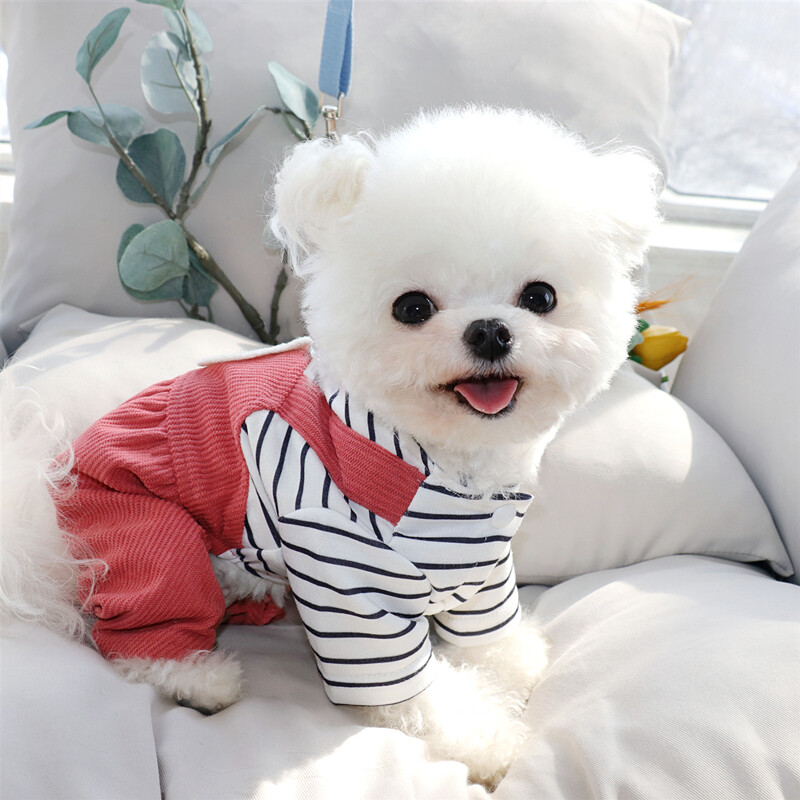 Hlače za kućne ljubimce s četiri noge Odjeća za pse na uzici Teddy Ljetni kombinezon Pulover za male pse iz crtića Schnuzer Prozračna odjeća