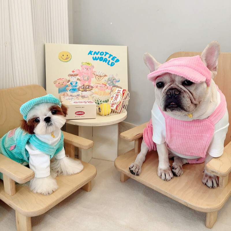 Pas Hlače s remenima od samta za kućne ljubimce Suknja s remenima za kućne ljubimce Odjeća za kućne ljubimce Jesen Zima Šnaucer Medvjedi Maltezer Mali pas Četveronožne hlače s remenima