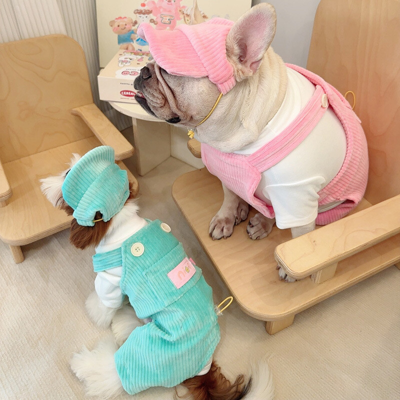 Pas Hlače s remenima od samta za kućne ljubimce Suknja s remenima za kućne ljubimce Odjeća za kućne ljubimce Jesen Zima Šnaucer Medvjedi Maltezer Mali pas Četveronožne hlače s remenima