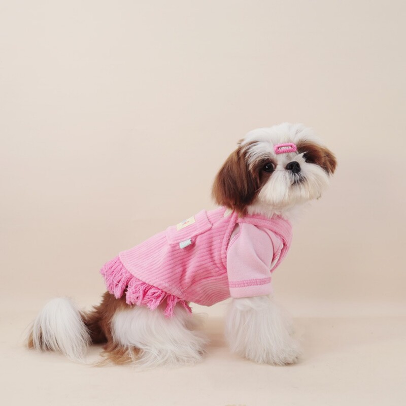 Pas Hlače s remenima od samta za kućne ljubimce Suknja s remenima za kućne ljubimce Odjeća za kućne ljubimce Jesen Zima Šnaucer Medvjedi Maltezer Mali pas Četveronožne hlače s remenima