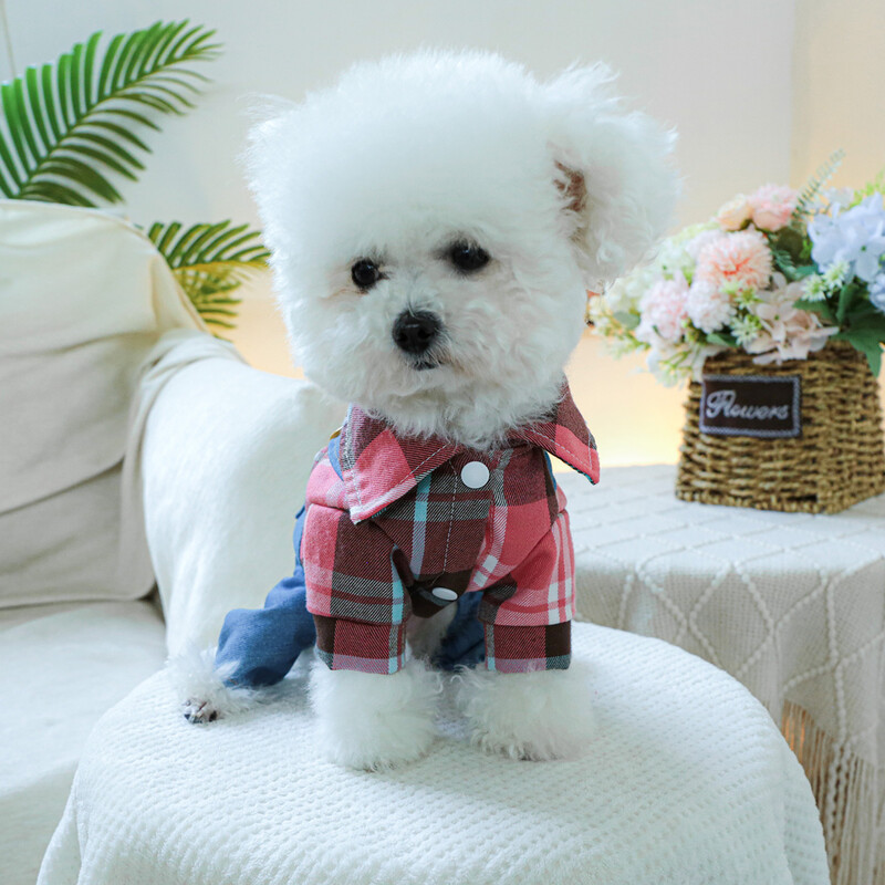 1 tk Lemmikloomarõivad Kevad- ja sügisrõõmsad kauboi nelja jalaga rihmapüksid, mis sobivad väikestele ja keskmise suurusega koertele