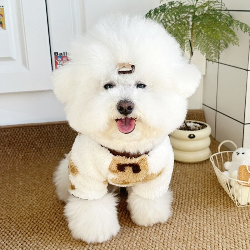 Lemmikloomade koerte riided väikestele koertele, talvised soojad koerte kombinesoonid, armsad kutsikad plüüsist pidžaamad Luksuslikud kasside kombinesoonid Prantsuse buldogi lemmikloomade kombinesoonid