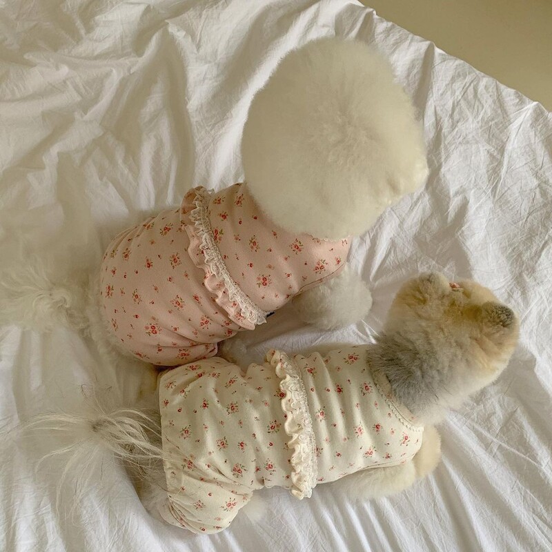 Slatki mali cvijet Jednodijelna odjeća s dvije noge Udobna kućna usluga za pse Topla odjeća za korejske jeseni Mali psi Djevojčica