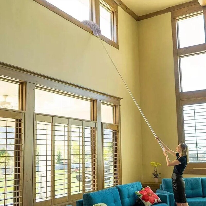 Ištraukiamas dulkių nerūdijančio plieno ilga rankena dulkių valymas automobilio valymo šepetys vištienos dulkių įrankiai Mikropluošto plunksnų dulkių korpusas F1I2