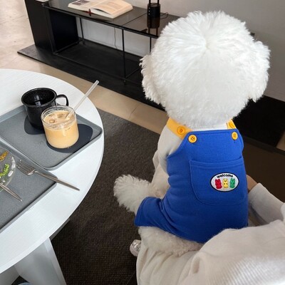 Salopetă pentru câini Haine de vară pentru cățeluși 2024 Salopete drăguțe pentru animale de companie, pantaloni casual pentru câini, bichon, pug, chihuahua, bretele, haină pentru câini
