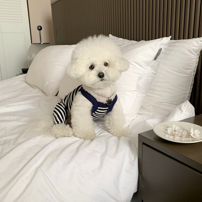 Летен нов ежедневен раиран домашен любимец, камизолка, жилетка за кучета, експлозия, дишащ гащеризон за кучета, бишон йоркширски малтийски дрехи за малки кучета